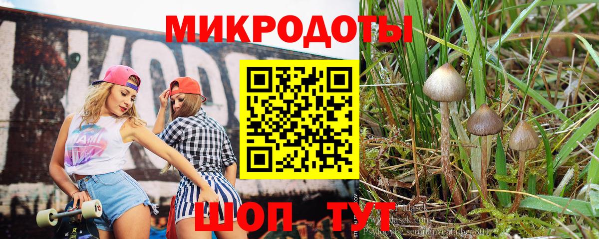 Галлюциногенные грибы Psilocybine cubensis  Вход с VPN  Избербаш 