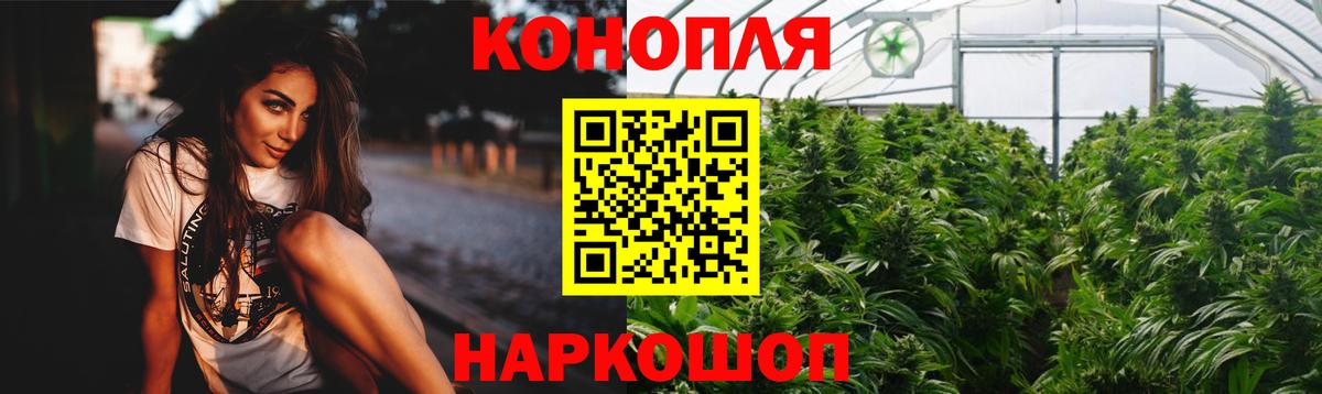 Конопля семена Избербаш